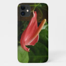 Search for calla lily iphone cases Nature