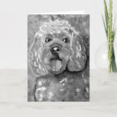 Search for cavapoo cards Dog