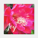Recherche de fleurs de cactus magnets Tropical