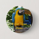 Search for bird pet buttons Colourful