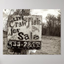 Search for crawfish art Cajun