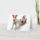 Recherche de tenants cards Chien