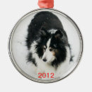 Search for sheltie ornaments Dog