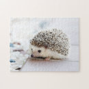 Recherche de hérisson puzzles Haies