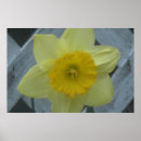 Recherche de joyeuses pâques posters Printemps