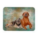 Search for vintage puppy magnets Cute dogs
