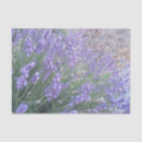 Search for tissue photography Elegant