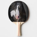Recherche de chevaux raquettes ping pong Ouest