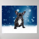 Search for cute bulldog posters Snow