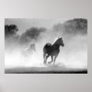 Search for beautiful scenery posters Animals