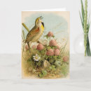 Recherche de étude vœux cartes Étude de la nature