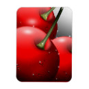 Recherche de cerises magnets Pour tous