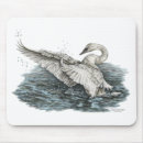 Search for splash electronics Wildlife
