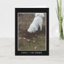 Search for excavator cards Dig