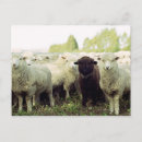 Search for individual postcards Horizontal