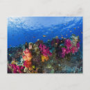 Search for environment horizontal postcards Outdoors
