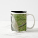 Recherche de mangeant tasses Horizontal