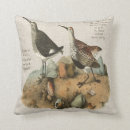 Search for sandpiper pillows Shorebird