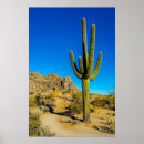 Recherche de saguaro cactus posters Désert du sonoran
