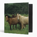 Search for mustang binders Equestrian