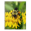 Search for bee weed Bees