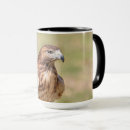 Search for hawk feathers mugs Animal