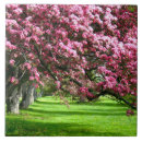 Recherche de unique carreaux Mother