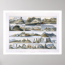 Search for the remarkable art After