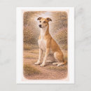 Recherche de levrier cartes postales Antique