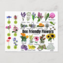 Recherche de abeille fleur cartes postales Abeilles