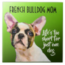 Recherche de french bulldog mom Amoureux des chiens