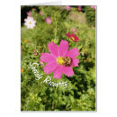Recherche de cosmo photographie Floral