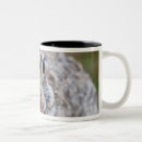 Search for cottontail mugs Nature