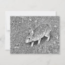 Search for pencils postcards Rabbit