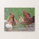 Recherche de poule coq puzzles Rouge