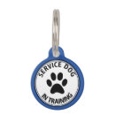 Search for trained pet supplies Training