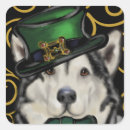 Search for malamute stickers Alaskan malamute dog