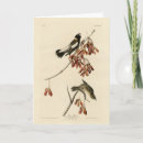 Search for rice cards Illustration