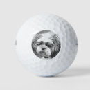 Search for shih tzu golf equipment Animals