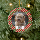Search for lines ornaments Puppy