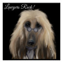 Search for afghans posters Afghan hounds