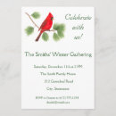 Search for cardinal bird invitations Nature