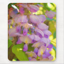Search for wisteria mousepads Photography