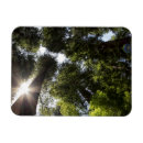 Recherche de humboldt Parc d'état