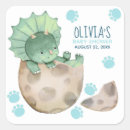 Search for triceratops stickers Boy