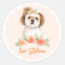 Search for shih tzu stickers Dog