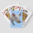 Search for baby pig playing cards Farm animal