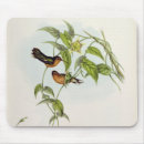 Search for collective mousepads Birds