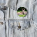 Search for cottontail buttons Springtime