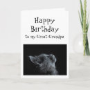 Search for great grandpa birthday cards Humour